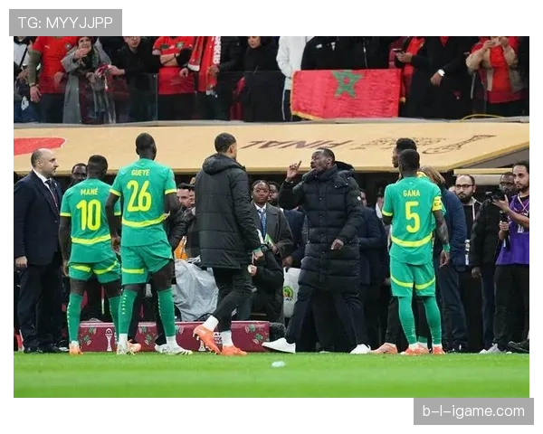 非洲杯主办权争议升级，多方呼吁决策过程公开透明